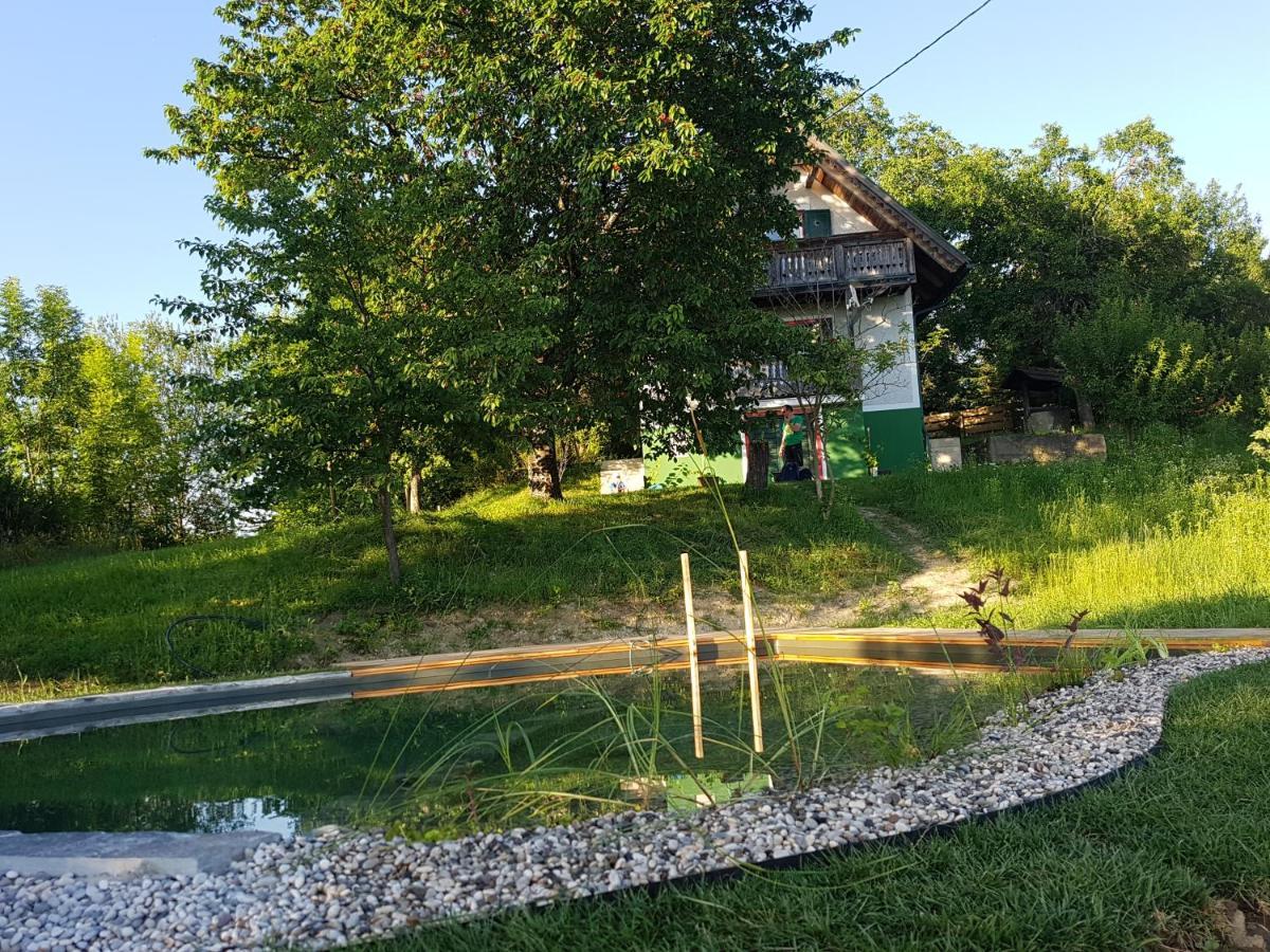 Svecina Holiday Home Sonnenhaus מראה חיצוני תמונה